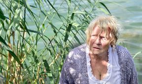 WaPo Bodensee