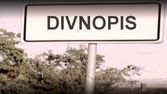 Divnopis