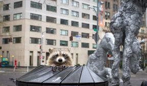 Na jachtě kolem New Yorku (1)