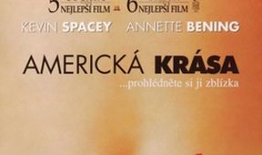 Americká krása