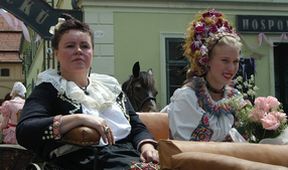 Dešťová víla