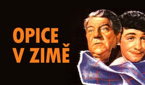 Opice v zimě