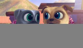 Puppy Dog Pals III (57)