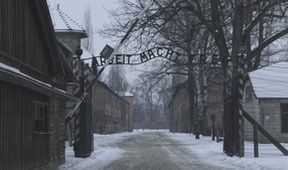 Pochody smrti, Mezinárodní den památky obětí holocaustu