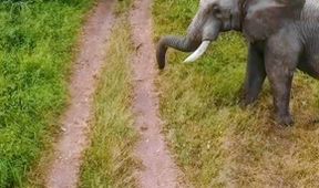 Afrika z ptačí perspektivy
