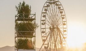 Pohoda Festival