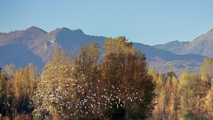 Odhalené Pyreneje (3)