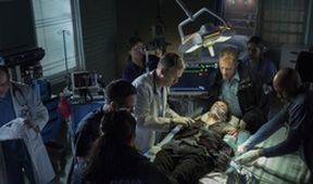 The Flash (22/23)