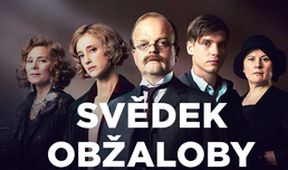 Svědek obžaloby (1/2)