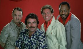 Magnum VI (9/20)