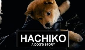 Hačikó: Príbeh psa