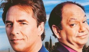 Detektiv Nash Bridges