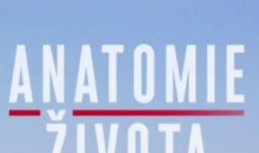 Anatomie života I (1)
