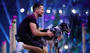 Top Dog Germany - Der beste Hund Deutschlands