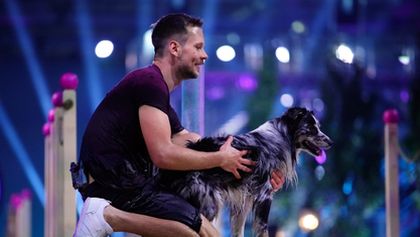Top Dog Germany - Der beste Hund Deutschlands