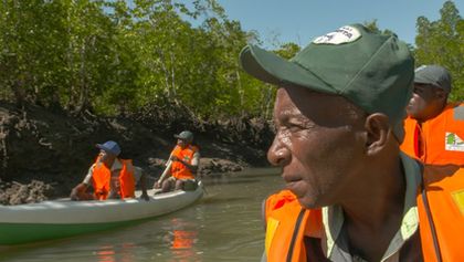 Tajemný život v mangrovech (1)