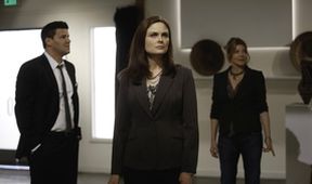 Kosti VIII (5/24)