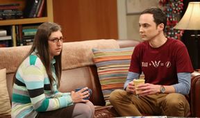 The Big Bang Theory VI (13/24)