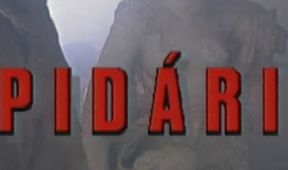 Příběh Rukopisů, Radúz Činčera – 100 let