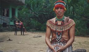 Mise: Amazonie a my