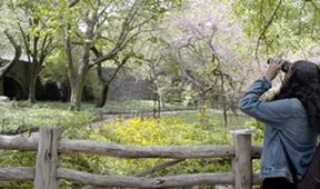 Na jachtě kolem New Yorku (1)