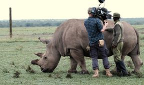 Poslední nosorožec