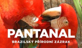 Pantanal - brazilský přírodní zázrak