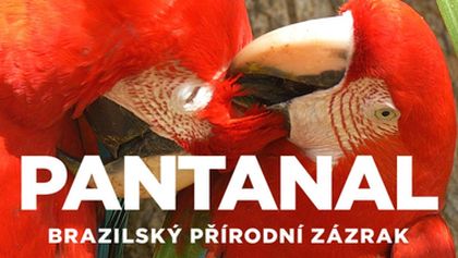 Pantanal - brazilský přírodní zázrak