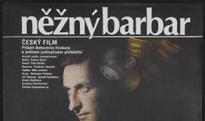 Něžný barbar