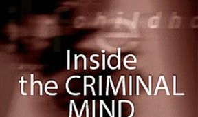 V mysli zločince (4)