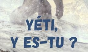 Na stopě Yetimu