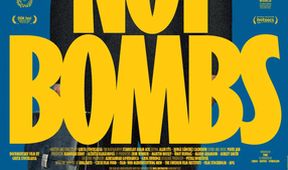 Blix, nie bomby. Diplomat a vojna