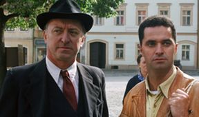 Zdivočelá země (1)