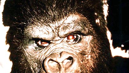 King Kong
