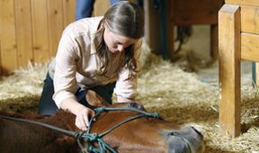 Nora Roberts: Pod nebem Montany