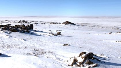 Království divočiny: Manul, Mongolsko