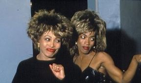 Tina Turner, Životy slavných