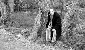 Krajina ve stínu