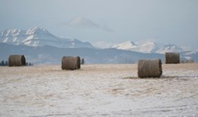 Ranč Heartland XI (17)
