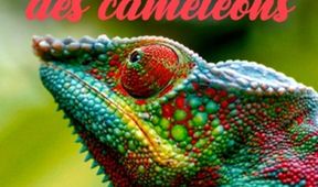 Chameleoni: Králové barev