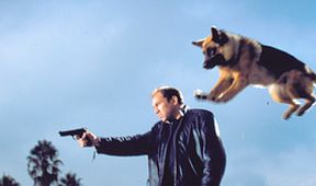 K-9 II: Můj přítel se studeným čumákem