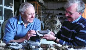David Attenborough - v devadesáti stále za kamerou