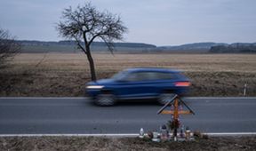 Strážmistr Topinka (12/13)