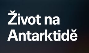 Život na Antarktidě