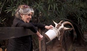 Brigitte Bardotová, rebelka s příčinou