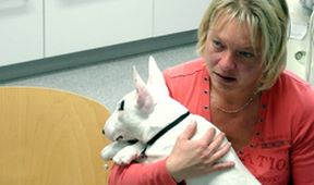 Hautnah: Die Tierklinik