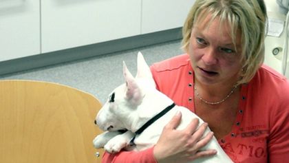 Hautnah: Die Tierklinik