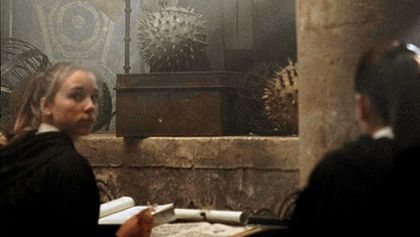 Harry Potter a Kámen mudrců