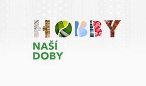 Hobby naší doby