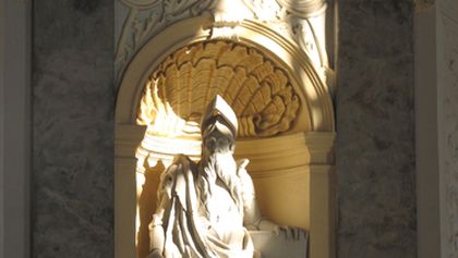 Návraty k divočině (5)